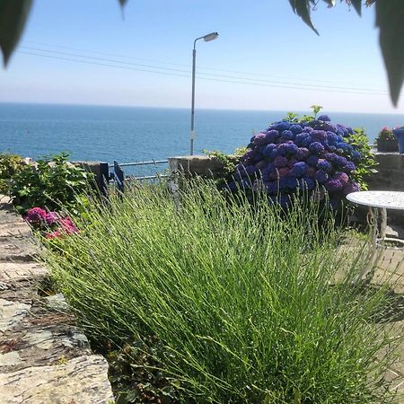 Slieve Donard Cottage Widows Row Cottages นิวคาสเซิล ภายนอก รูปภาพ